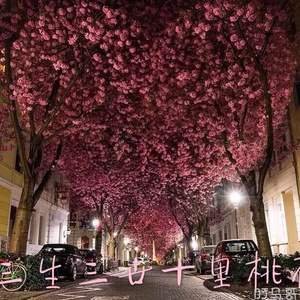 贵阳北京淋浴房厂家用小鹅营销导航
