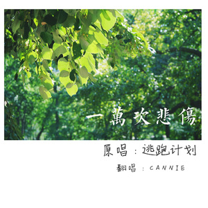 贵阳北京淋浴房厂家用小鹅营销导航
